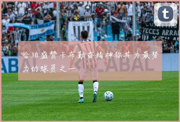 哈珀盛赞卡布勤奋精神称其为最努力的球员之一